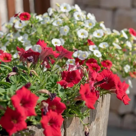 Villa Casa Natia - Isulatravel Modica